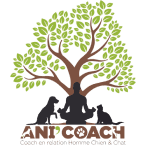 Logo_Ani'Coach.png