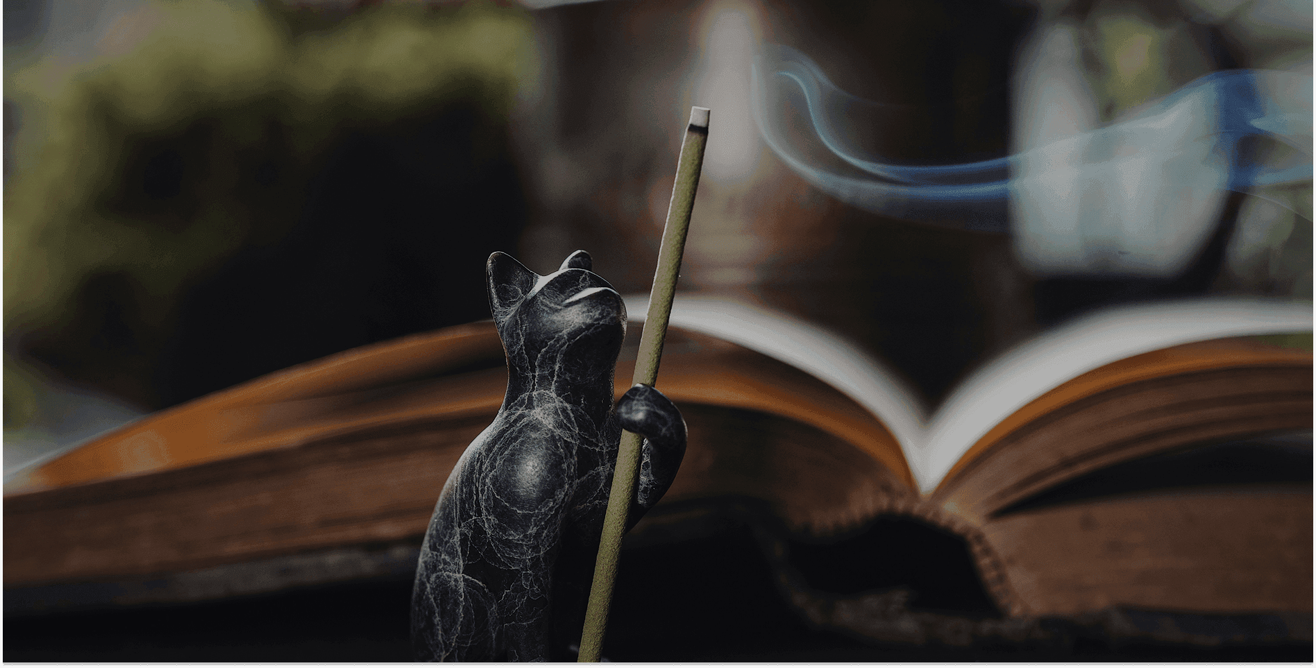 Gamelle au poil - Blog