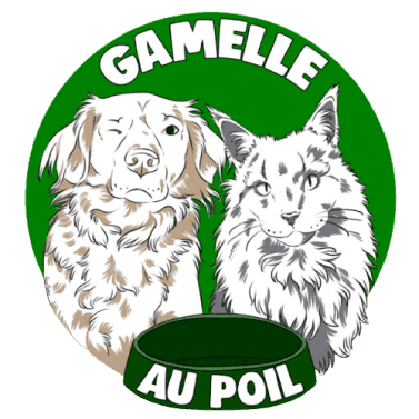 Gamelle_au_poil_Logo_Aude_Carrez_ba2284314e.png