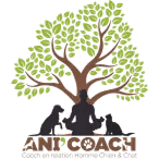 anicoach