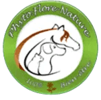 phytoflore