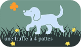 une_truffe_a_4_pattes